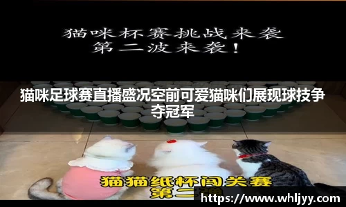 雷火竞技APP